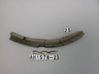 藏品(灰黑色細砂陶片)的圖片